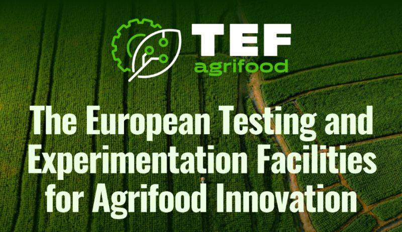 agrifoodtef 1740755771568
